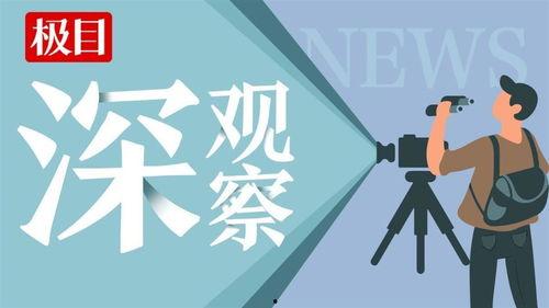 极目新闻拍客如何爆料,如何高效提供新闻线索